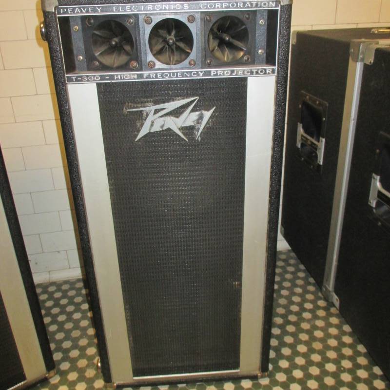 lot 2 image: (2) Peavey T-300 Speakers