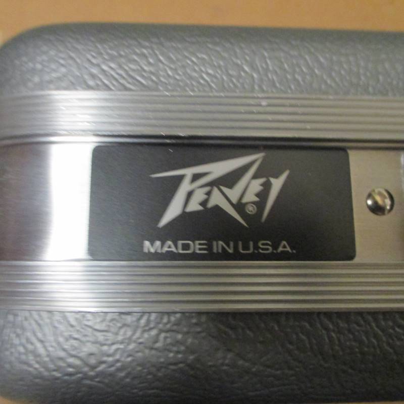 lot 18 image: (2) Peavey PVM 480 Mics