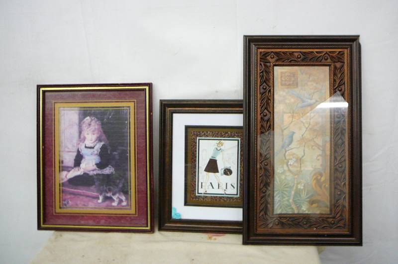 Framed Pictures