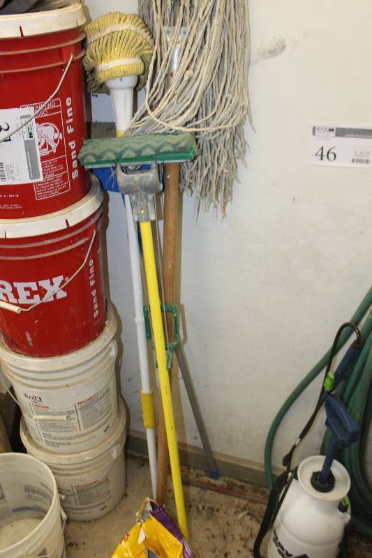 lot 45 image: Mops