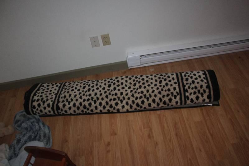 lot 61 image: Area Rug, 4x8ft. Estimated