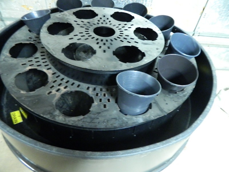 lot 51 image: Borgen Refrigerated Floral Merchandiser