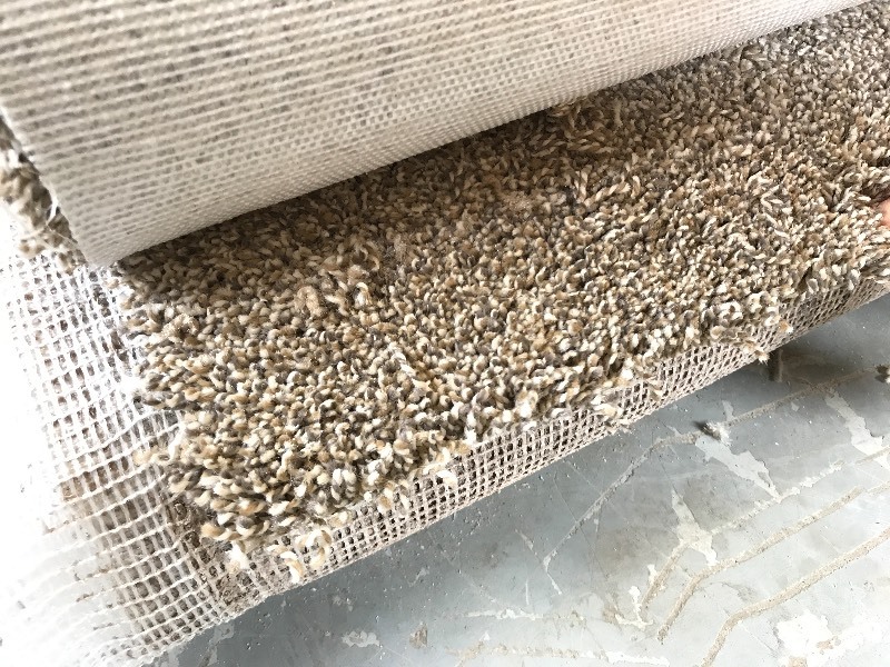 PARTIAL ROLL OF CARPET