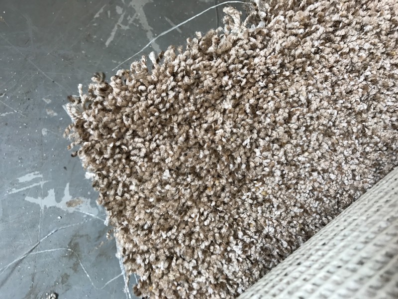 PARTIAL ROLL OF CARPET