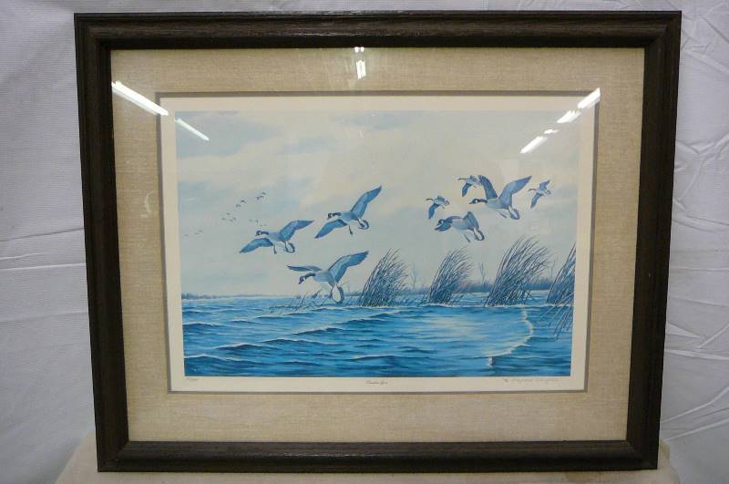Framed Print