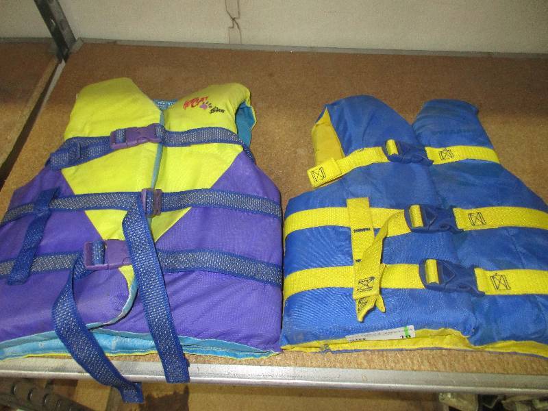 lot 10 image: 2 kids life vests