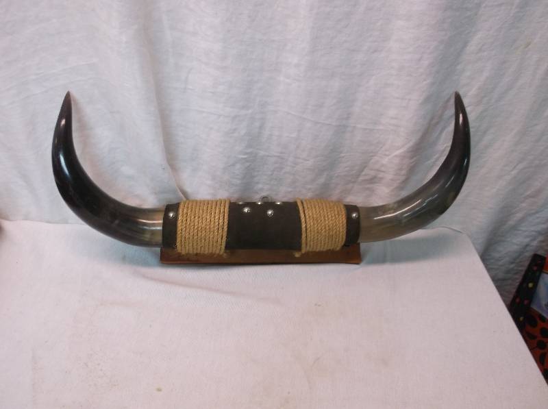 Bull Horns