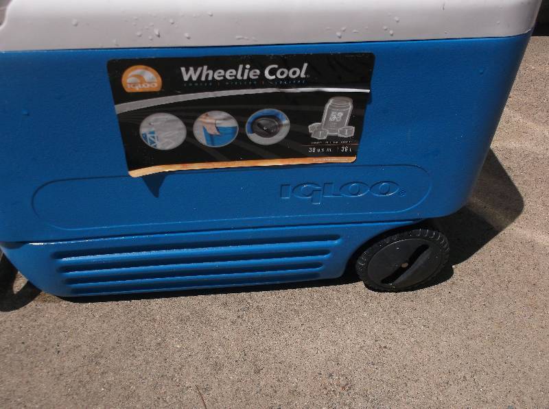 Cooler