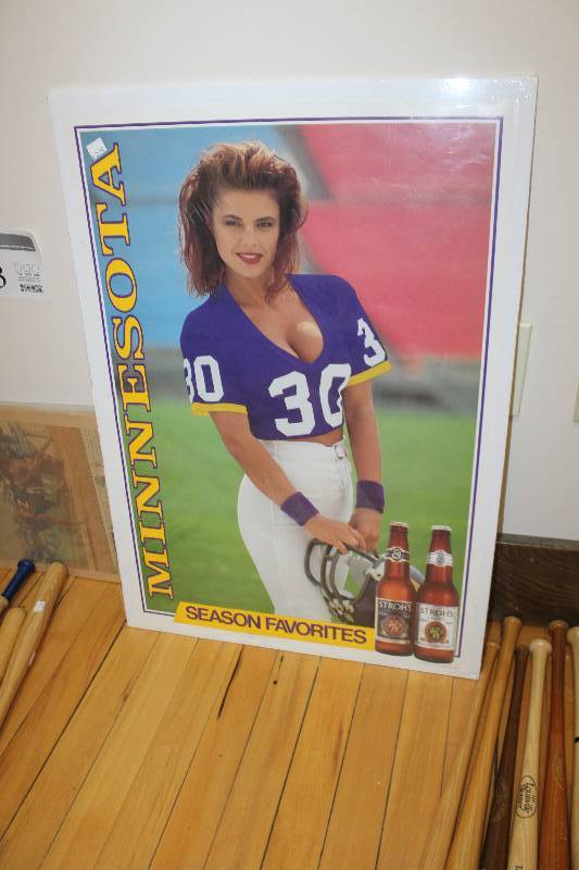 lot 232 image: Strohs Minnesota Vikings Season Favorites Wall Art