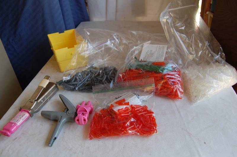 lot 181 image: Dental Cavity Fill Tools, Tips, and Syringes