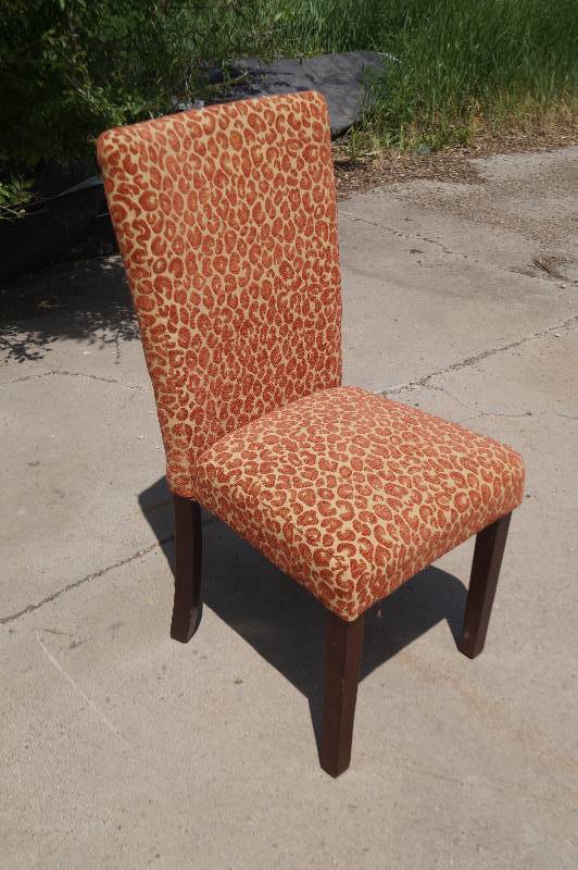 Cloth Chair