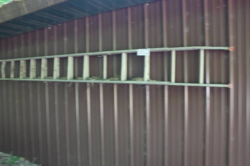 lot 172 image: 20ft. Aluminum Extension Ladder