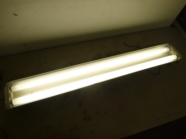 lot 6 image: Fluorescent Lights