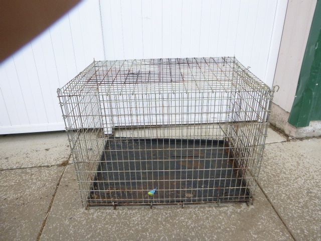 lot 37 image: Dog Kennel