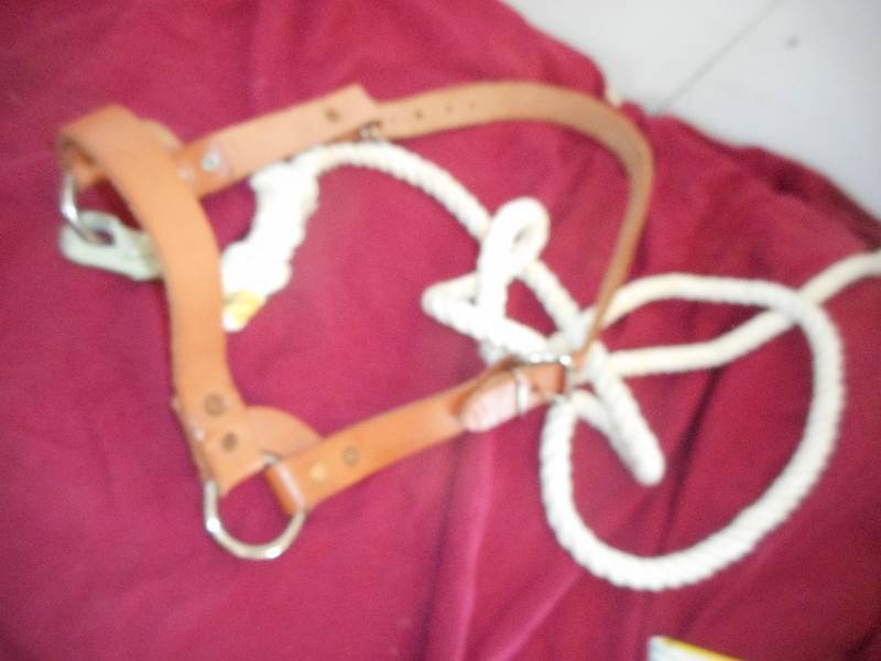 LEATHER HORSE COLLER AND ROPE