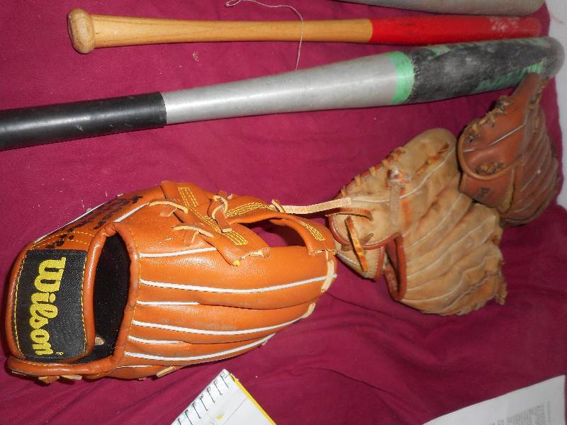 3 BATS 3 GLOVES