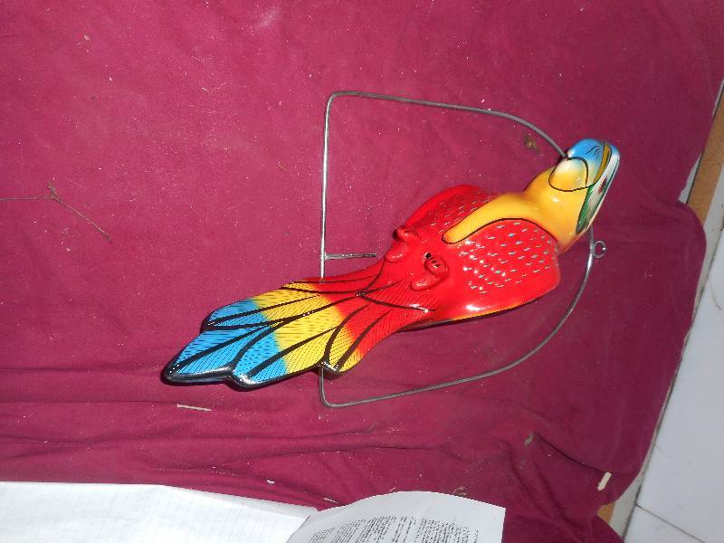 HANGING MEXICAN PARROT