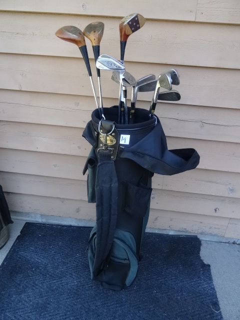 lot 19 image: MacGregor 1-9,  1,3, and 4 Woods.