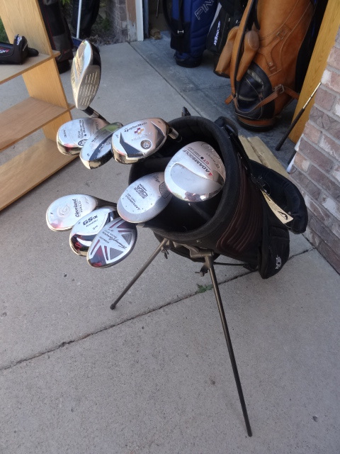 lot 78 image: Misc Hybrids with Bag. Rescue Woods