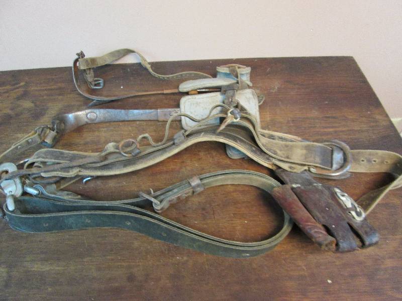 lot 91 image: Tree Climbing Spikes