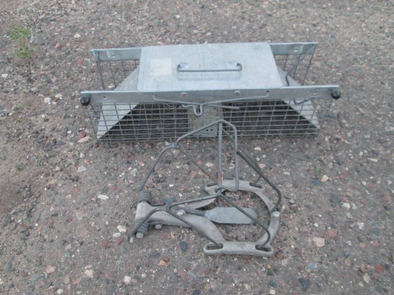 lot 238 image: Traps