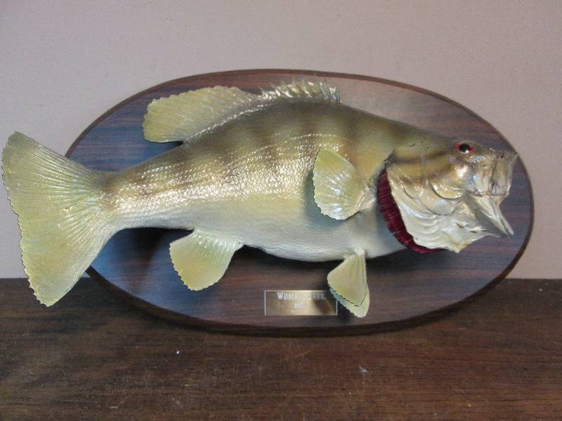 lot 253 image: Small Mouth Bass