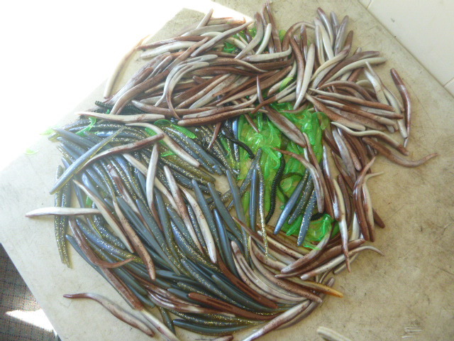 Large Lot of Plastic Bait