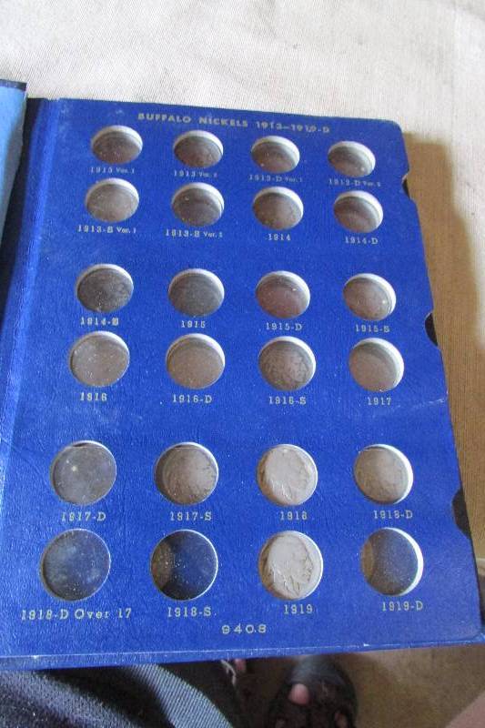 Vintage Buffalo Head Nickels