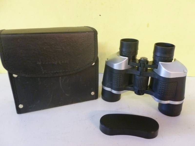 lot 254 image: Binoculars