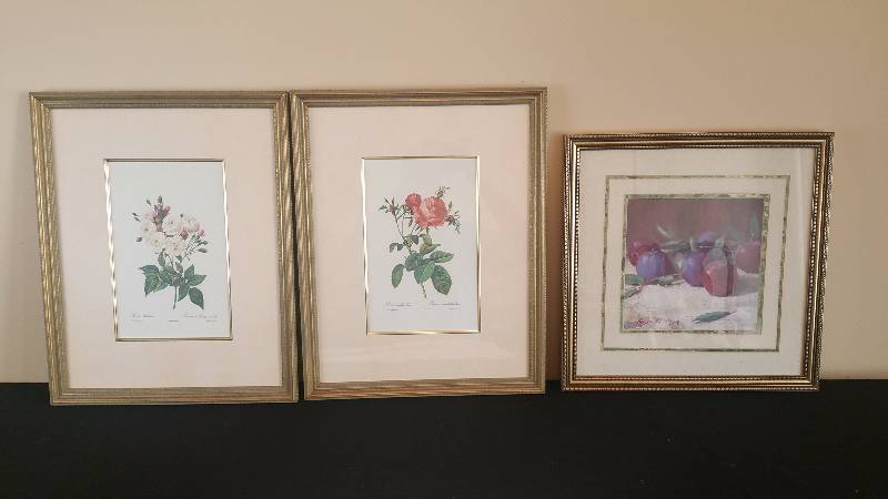 lot 35F image: Botanical Pictures