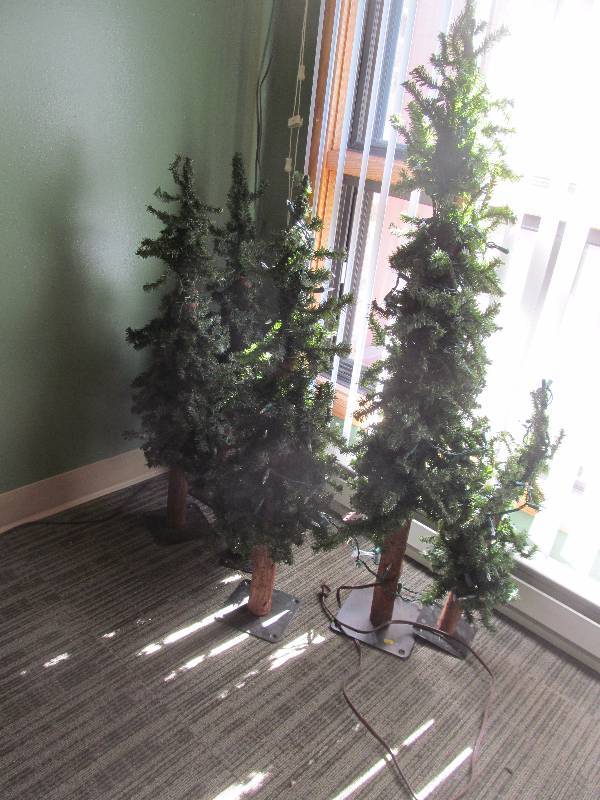 lot 58 image: trees