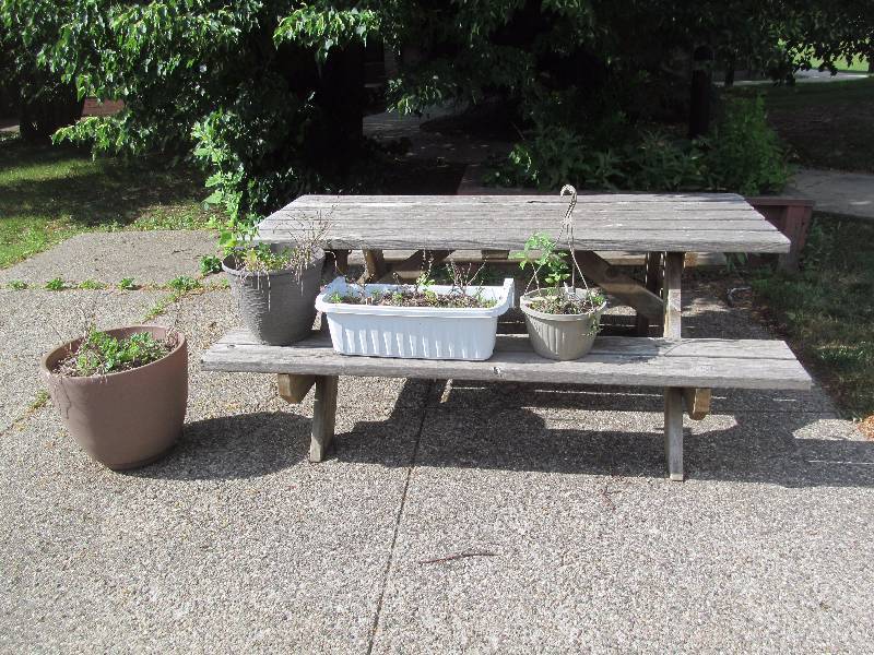 lot 546 image: picnic table , flower pots
