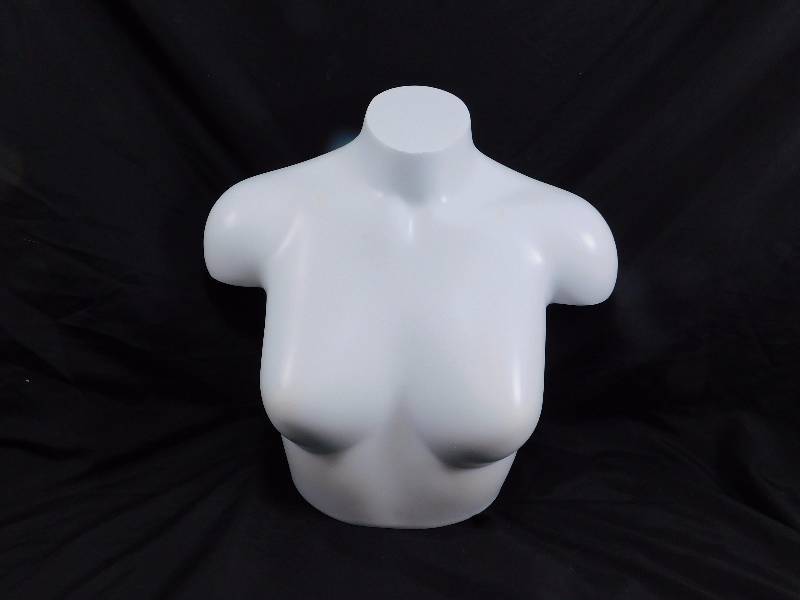 lot 68 image: Fusion Specialties Womens Bra Form Mannequin