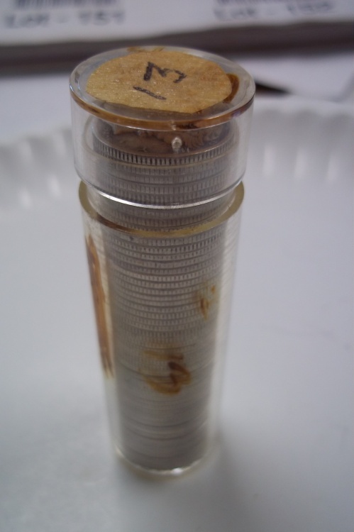 Tube of 1939-1941 Dimes