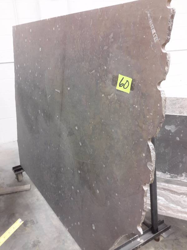 Large Sheet of Manufactured counter top.  Has SHELLS theme