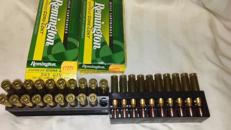 39 Remington Express Core � Lokt, 243 WIN 100 Gr. PSP R243W3