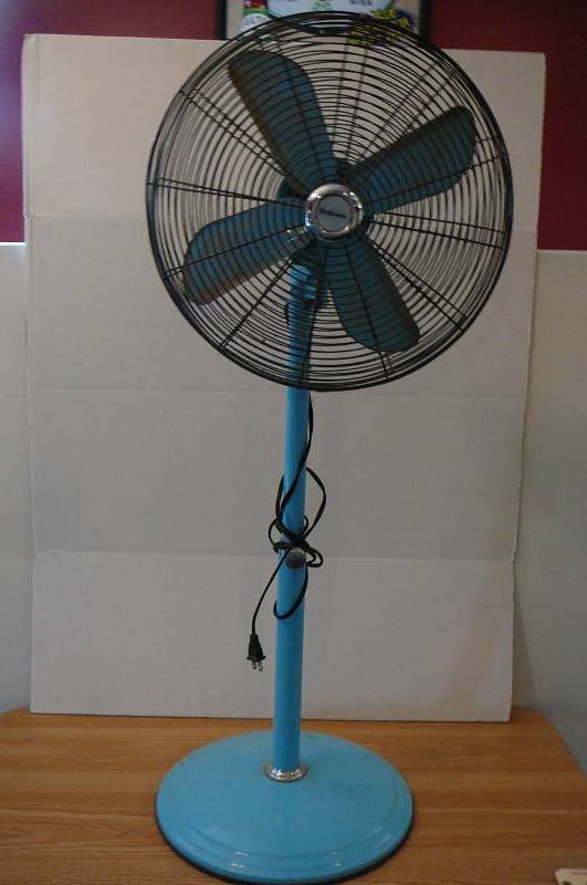 lot 125 image: Fan