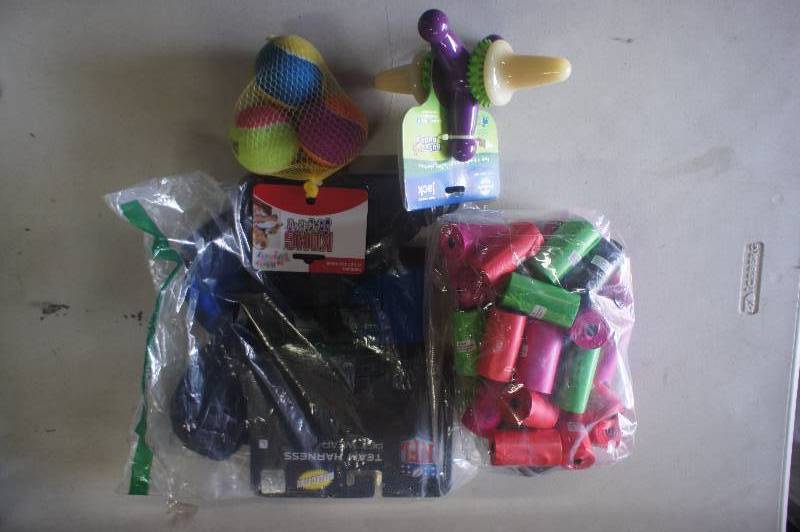 lot 305 image: (Lot of 4) Assorted Dog Items