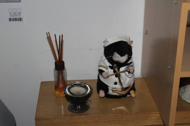 lot 25 image: Bunny, Cat Decorations