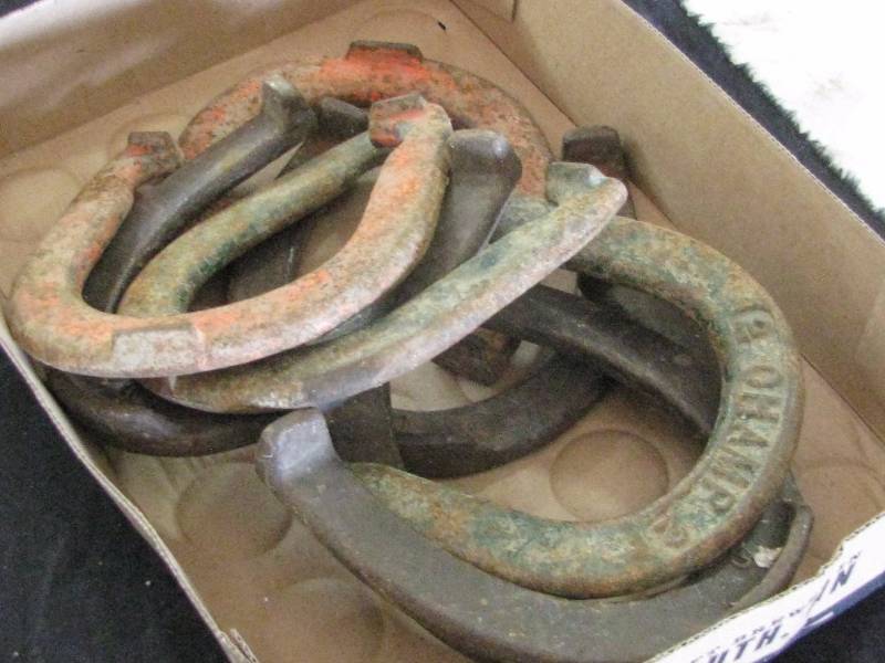 lot 94 image: Horse Shoes