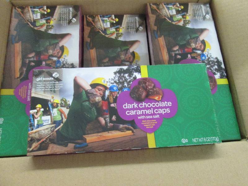 lot 97 image: Case of 12- 6 oz boxes- Dark Chocol...