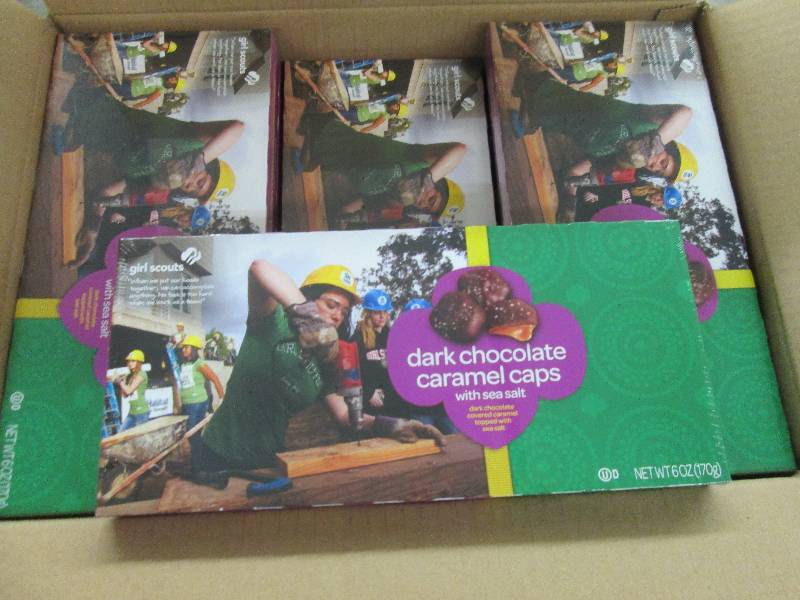 lot 98 image: Case of 12- 6 oz boxes- Dark Chocol...