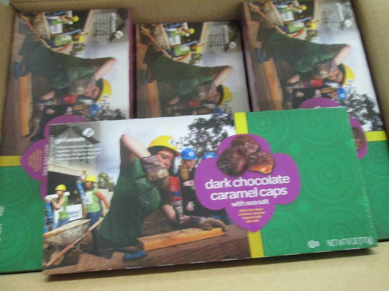 lot 107 image: Case of 12- 6 oz boxes- Dark Chocol...