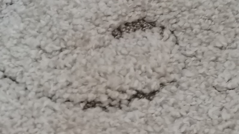 Safavieh Florida Shag Rug