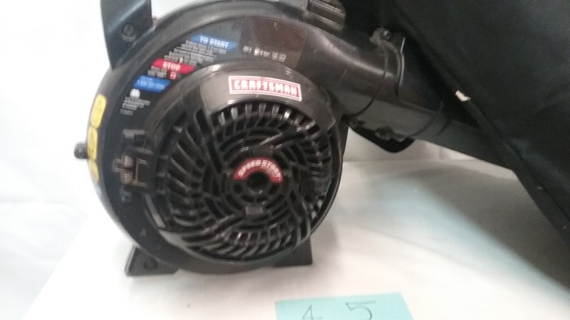 Craftsman Blow and Vac Combo