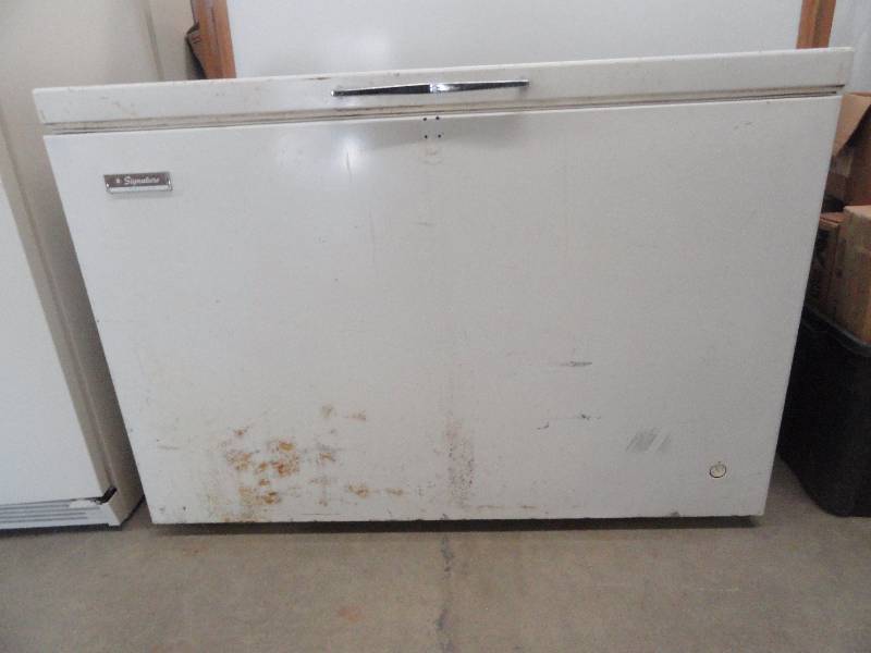 lot 37 image: Chest Freezer Signature Freezer