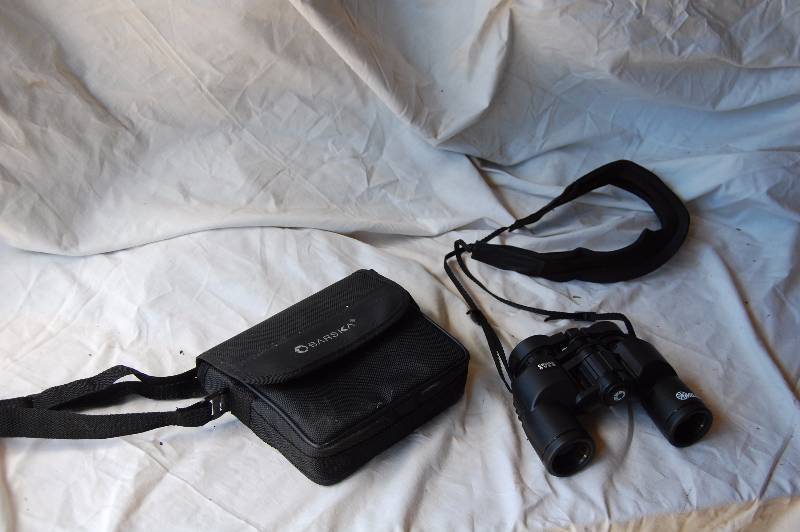 lot 39 image: Binoculars