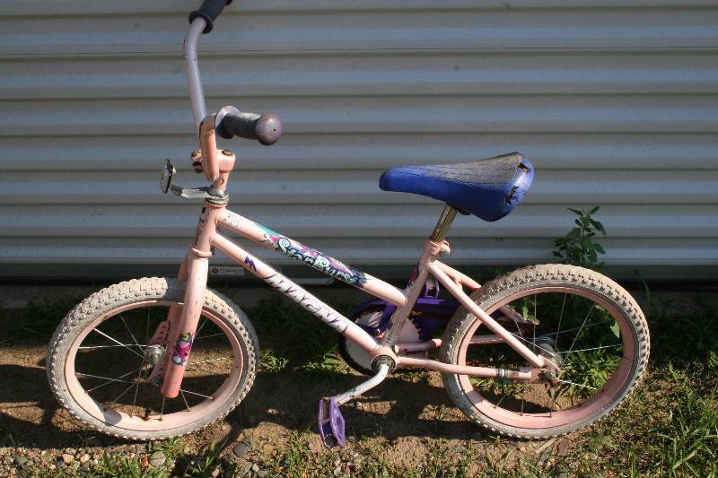 lot 302 image: Kids Bike