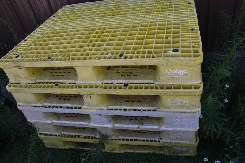lot 639 image: Plastic Pallets