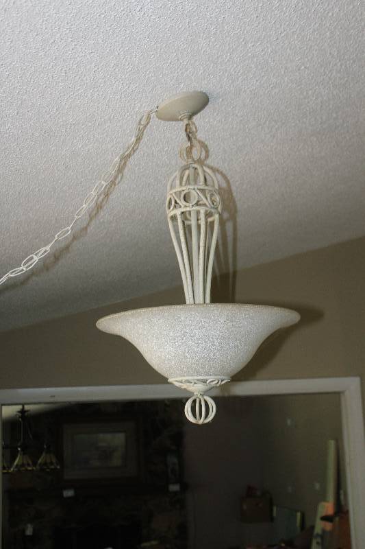 lot 41 image: Hanging Light